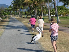 CairnsTC258 Esplanade